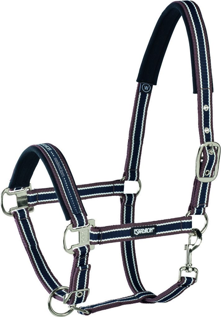 Halfter Pin Buckle 381 cognac-blue WE