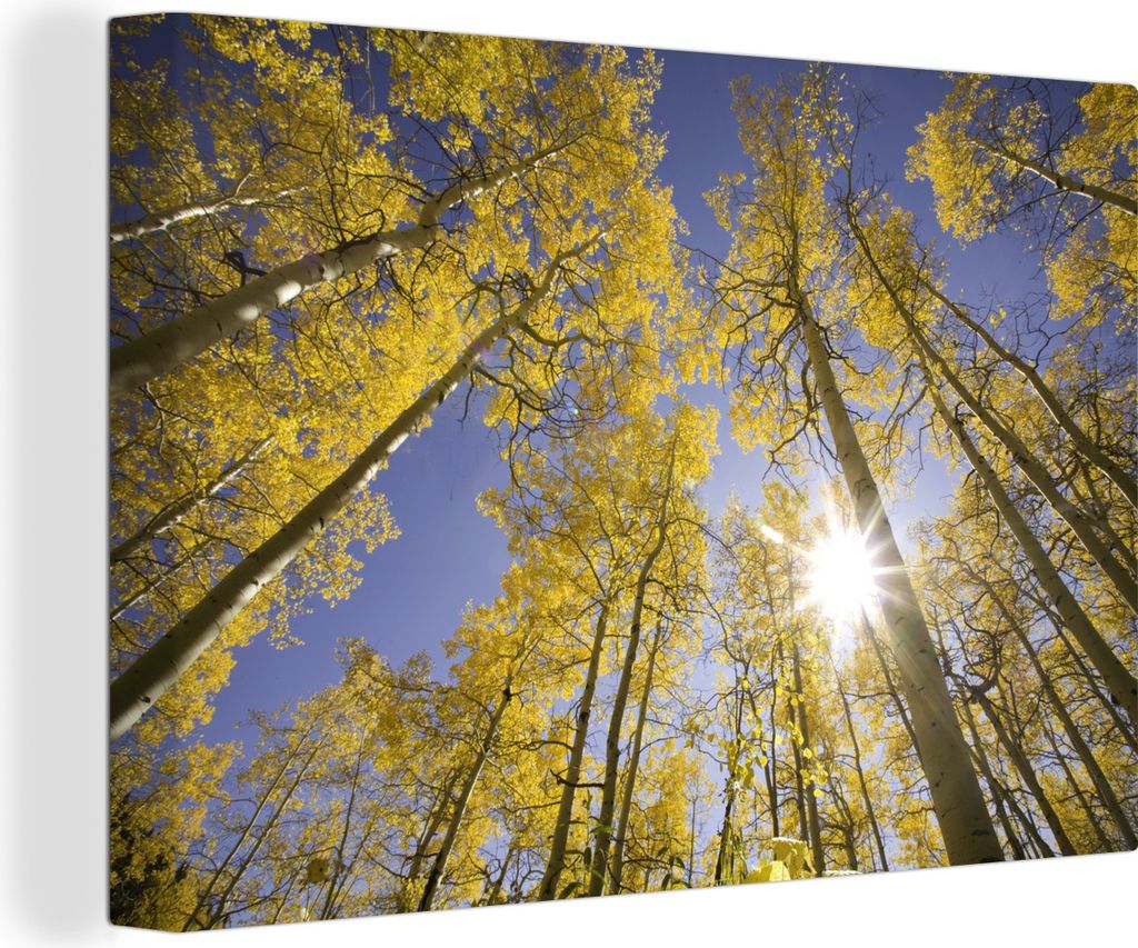 OneMillionCanvasses - Leinwandbilder - 140x90 cm, Sonne - Bäume - Himmel, Wandbilder Kunstdruck Wanddekoration - Foto auf Leinwand - Gemälde au...