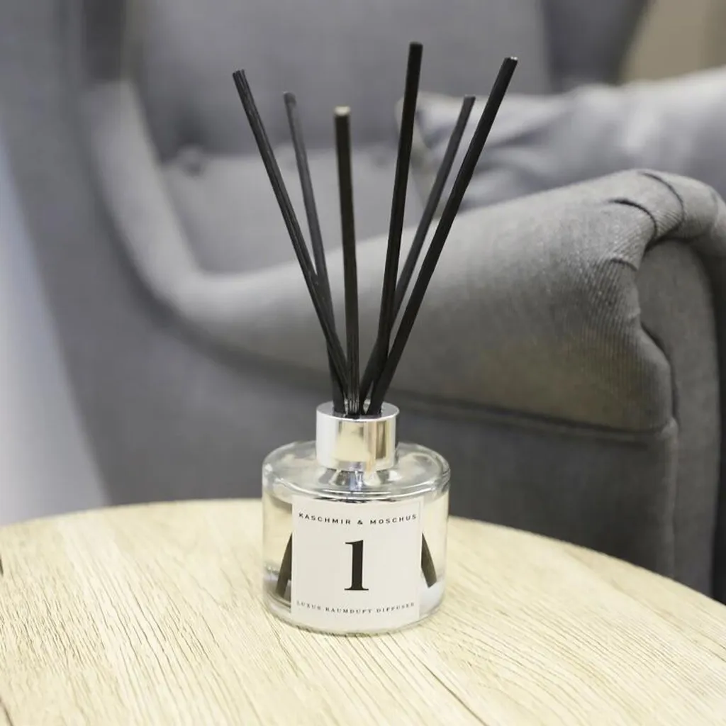 Parfum d'Intérieur 100ml avec Bâtonnets pour Maison et Bureau - 12 Pcs