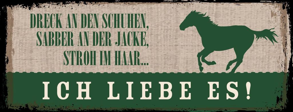 vianmo Blechschild 10x27 cm Stroh im Haar Ich liebe es Pferd