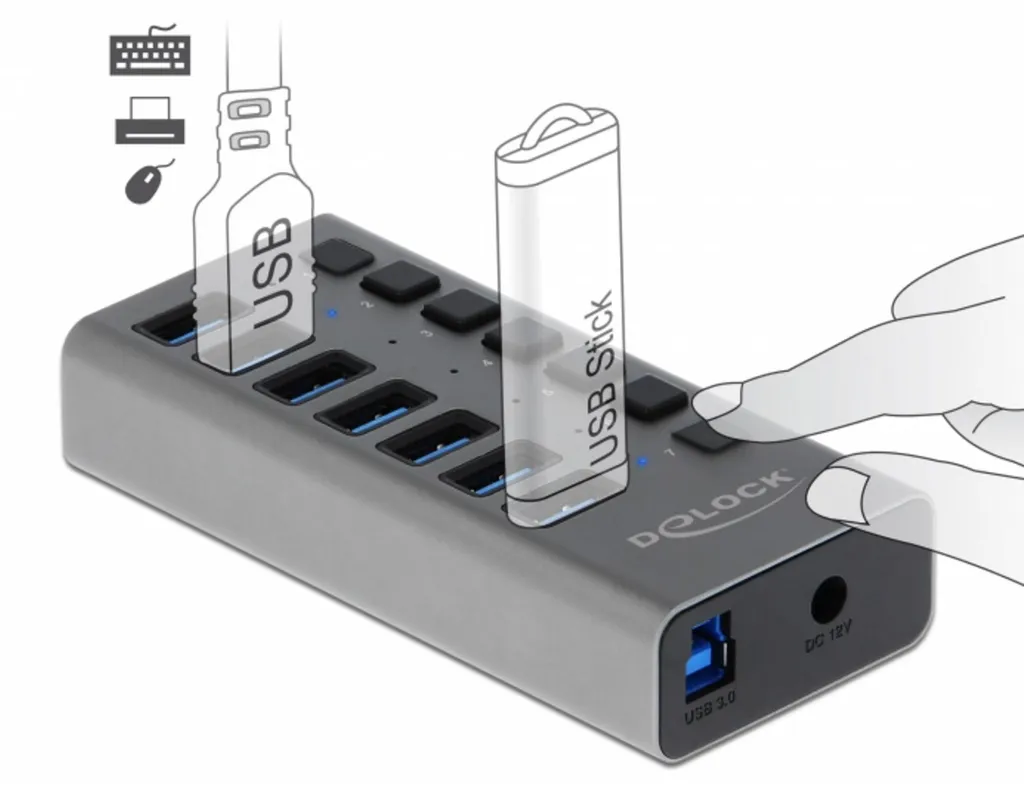 DeLOCK 63669 Hub USB 3.2 Gen 1 Type-B 5 Gbps Gris - Extension Fiable