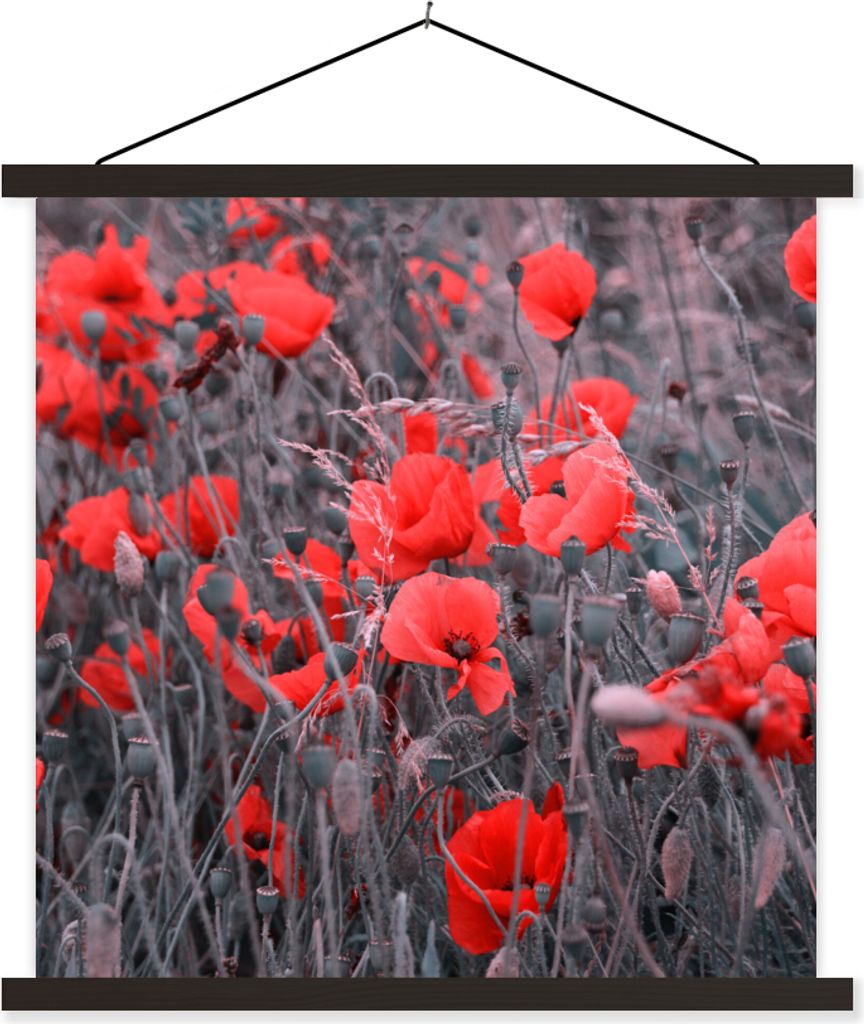 MuchoWow Textilposter Rote Mohnblumen in einem Schwarz-Weiß-Bild 40x40 cm mit schwarzem Rahmen - Fotos