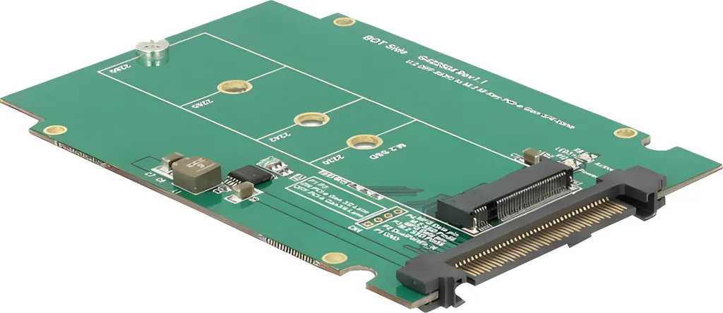 Delock Adattatore U.2 a M.2 NVMe - Soluzione Storage 2.5" Premium