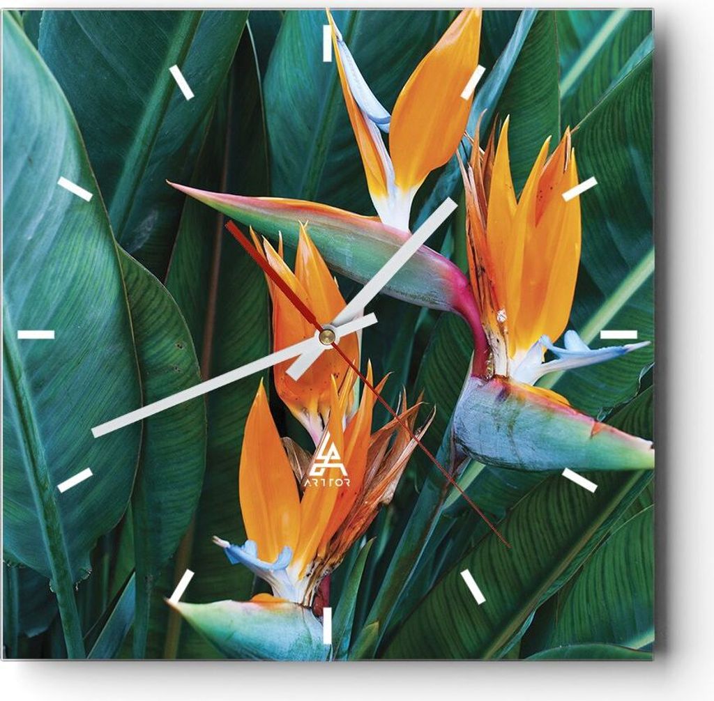 Wanduhr - Quadrat - Glasuhr - Himmlisch Vogel Blume - 30x30cm - Schleichendes Uhrwerk - Lautlos - zum Aufhängen bereit - Dekoration Modern - Wandd...