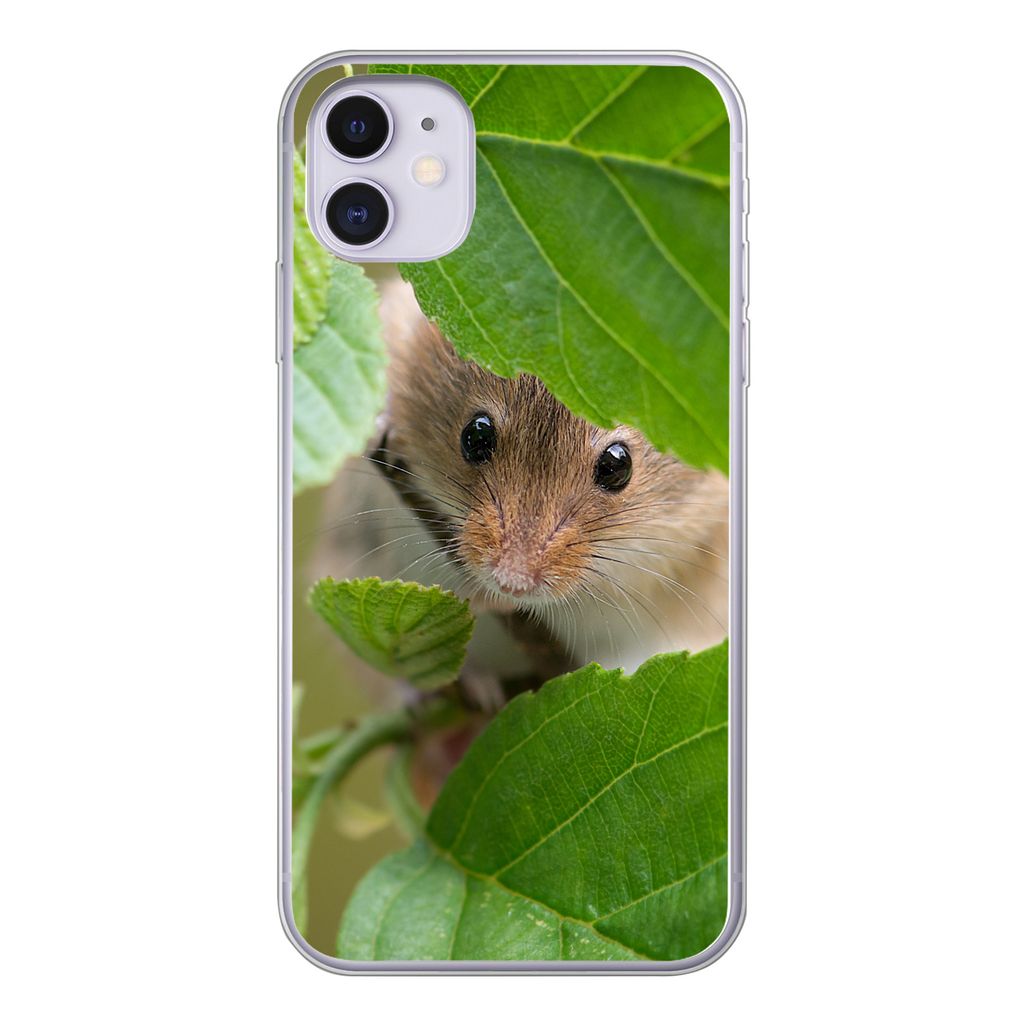MuchoWow Handyhülle Schutzhülle Hülle für iPhone 11 Zwergmaus - Jungtiere - Blätter Silikon Softcase Handy Hülle - Handytasche