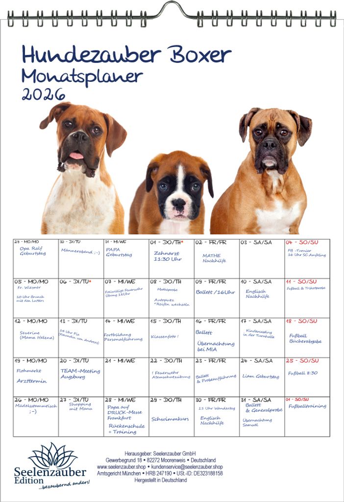 Hundezauber Boxer Planer DIN A4 Kalender für 2026 Welpen und Hunde - Seelenzauber