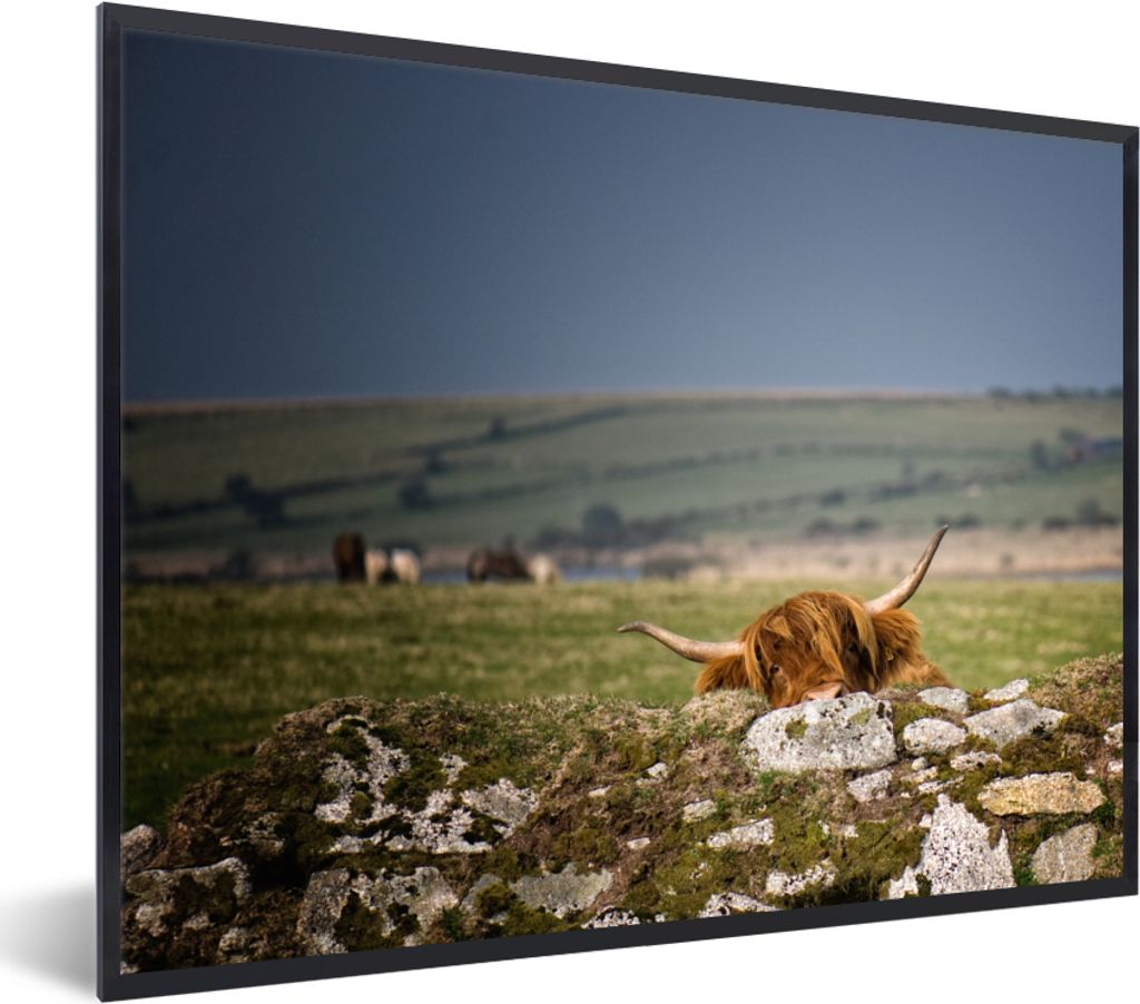 MuchoWow Gerahmtes Poster Schottische Highlander - Steine - Gras 80x60 cm - Poster mit Schwarzem Bilderrahmen Wandposter Rahmen Foto Bilder - Sch...