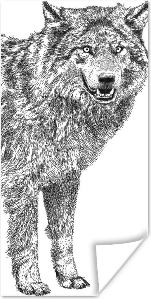 MuchoWow Poster Wolf - Weiß - Skizze 80x160 cm - Kinderzimmer