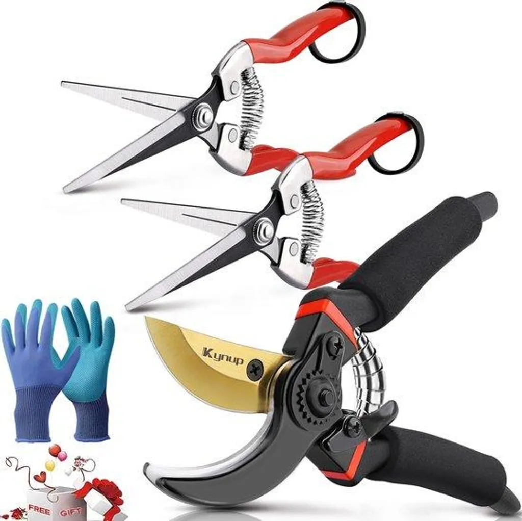 Outils de jardinage en acier avec scie efficace et gants de sécurité