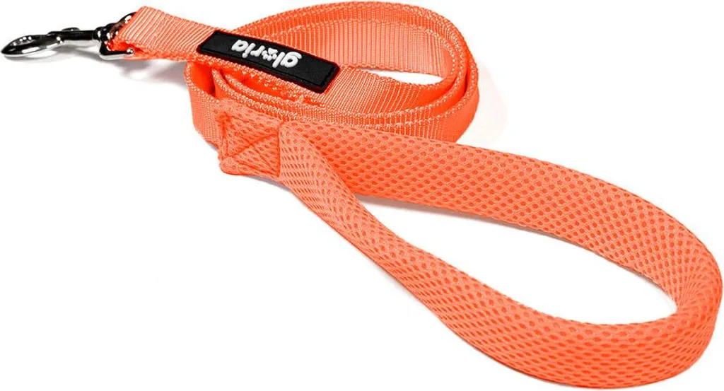 Gloria Orange S: Il Guinzaglio Sportivo per Cani Piccoli e Attivi