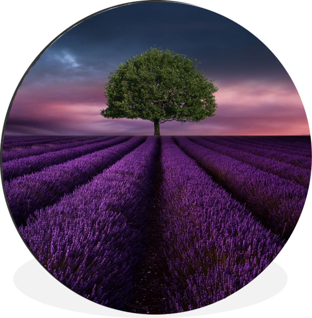 MuchoWow Aluminium Wandkreis Lavendel - Baum - Lila Ø 30 cm Wanddeko Modern Wohnzimmer - Wand Bild - Wohnzimmer - Runde Bilder - Alubilder - Kun...