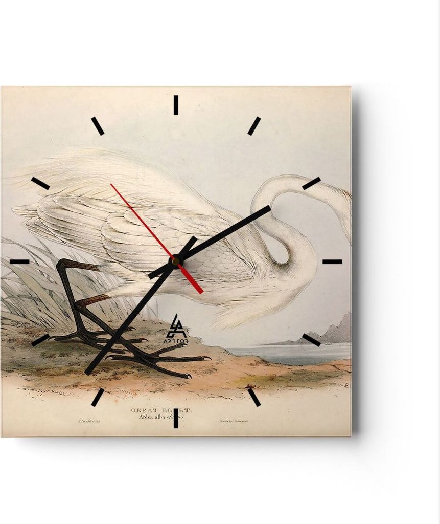 Wanduhr - Quadrat - Glasuhr - Vogel Weiß Reiher - 30x30cm - Schleichendes Uhrwerk - Lautlos - zum Aufhängen bereit - Dekoration Modern - Wanddeko...