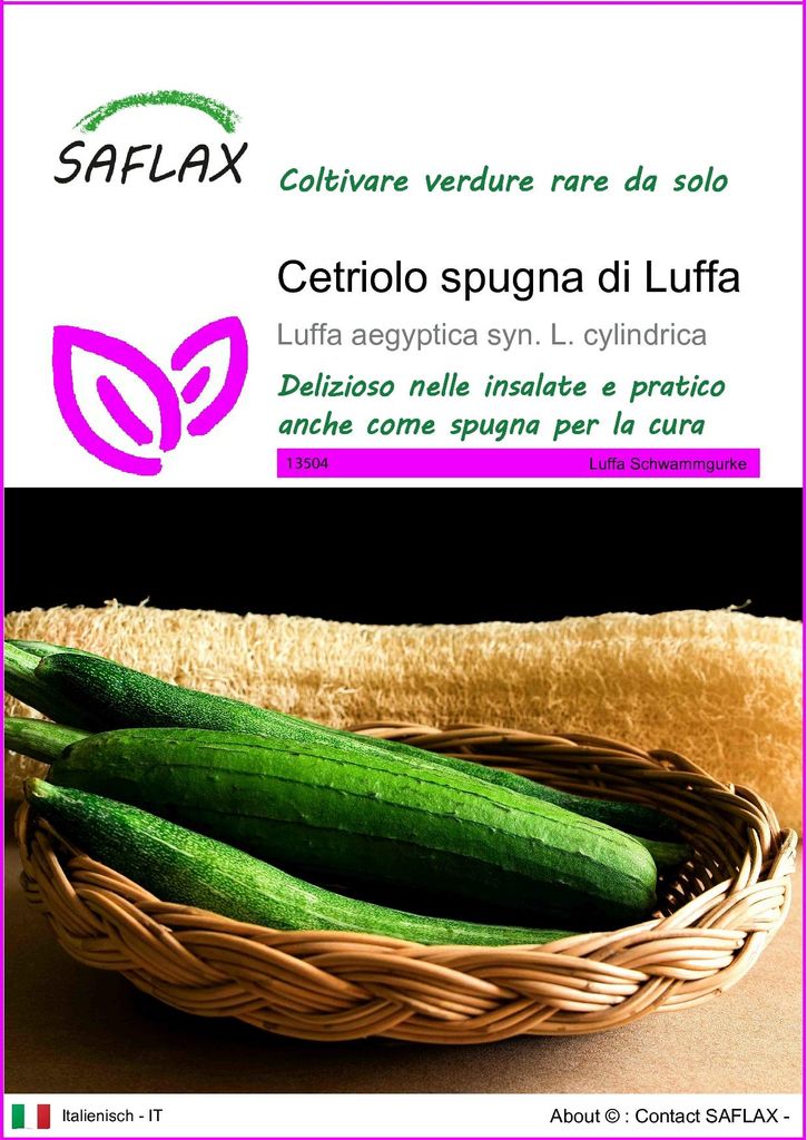 SAFLAX  - Cetriolo spugna di Luffa - 10 semi - Luffa Immagine del prodotto 