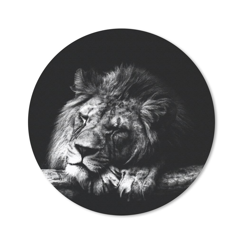 MuchoWow Mauspad Mousepad Löwe - Baum - Schlaf - Schwarz - Weiß 50x50 cm - Mousepads - Maus Mat - Pad - Mausunterlage - Vinyl