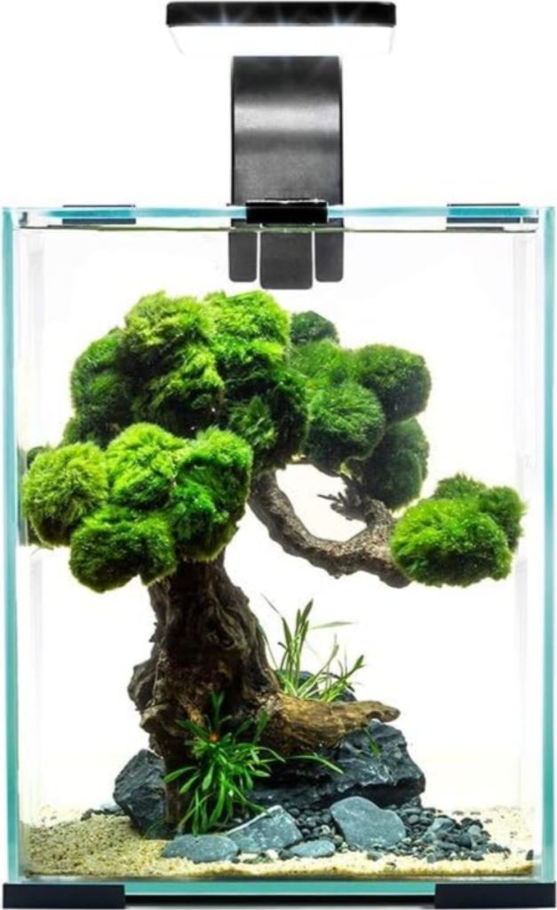 A small aquarium with a bonsai-like aquascape, featuring moss-covered driftwood and rocks, illuminated by an overhead light.