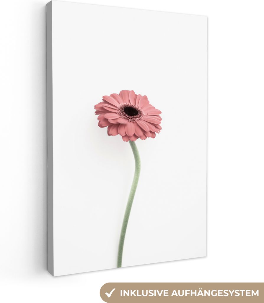 OneMillionCanvasses - Leinwandbilder - 90x140 cm, Blumen - Rosa - Natur - Weiß - Pflanze, Wandbilder Kunstdruck Wanddekoration - Foto auf Leinwa...