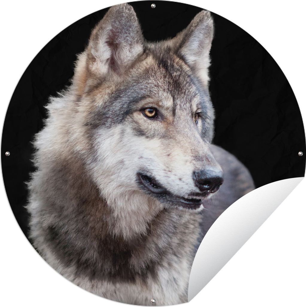 MuchoWow Gartenposter Outdoor-Poster Rund Grauer Wildwolf Ø 60 cm Gartendeko Rundes Poster draußen