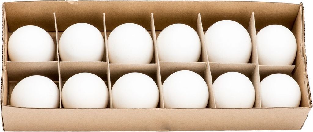 Hühnereier Weiß, im Karton mit 12 Stück, ausgeblasen und Produktbild 