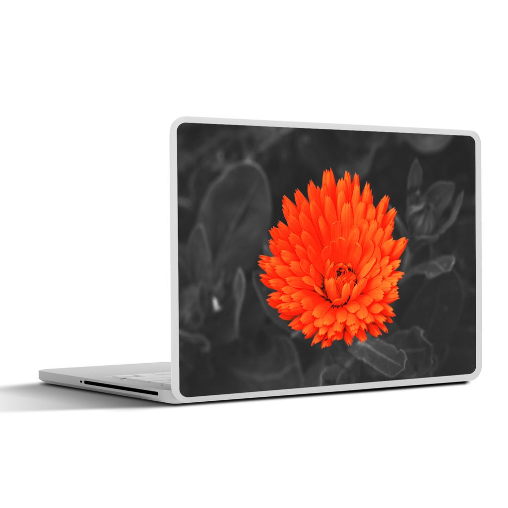MuchoWow Laptop Aufkleber Sticker Cover Blumen - Orange - Schwarz - Weiß 31x22.5 cm - Laptop-Deko