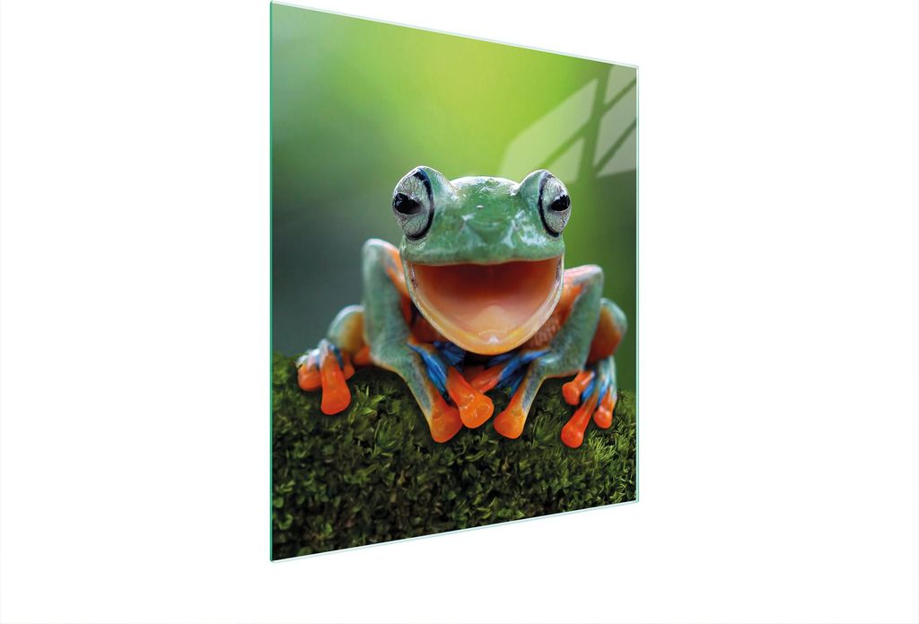 Glasschneidebrett 45x52 Frosch