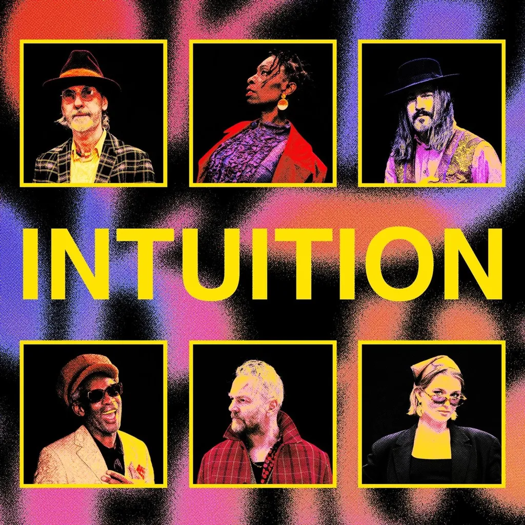 Vinyle Brooklyn Funk Essentials Intuition album funk groove rare