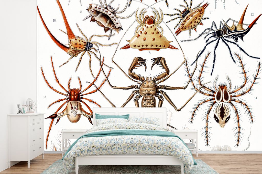 MuchoWow Fototapete für Wohnzimmer oder Schlafzimmer Wandtapete Vinyl Motivtapete Retro - Spinne - Ernst Haeckel - Spinnen - 600x400 cm - Vinylt...