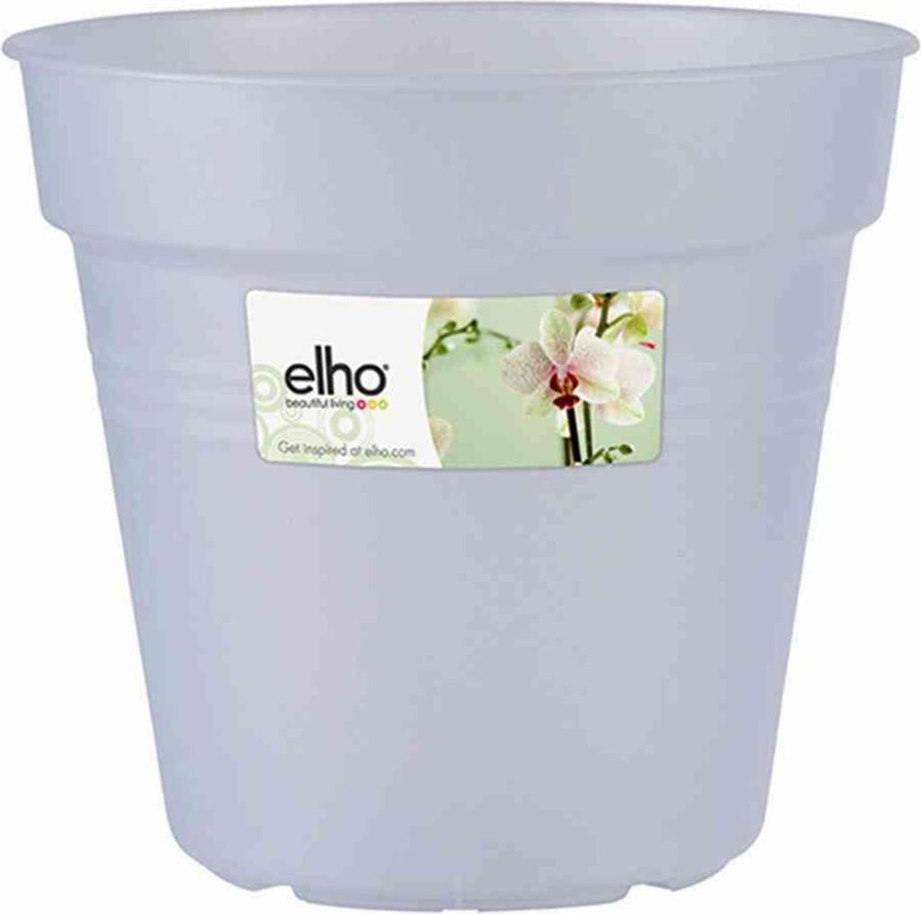 Verde Basic Orchid trasparente 17 cm Immagine del prodotto 