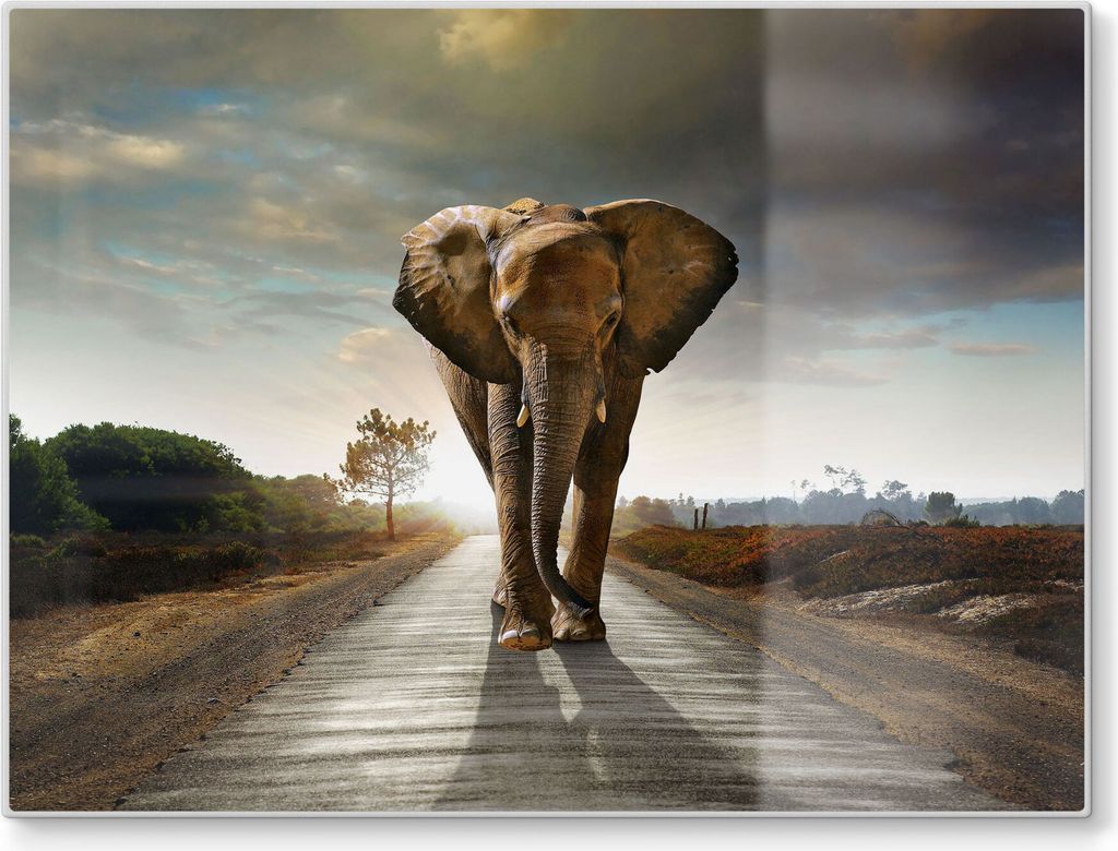 DEQORI Schneidebrett Glas 40x30 cm 'Elefant auf Asphalt' Schneideplatte groß