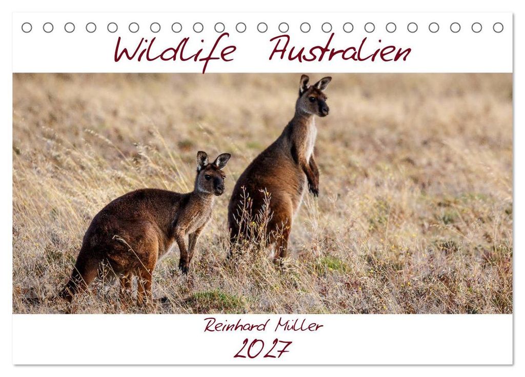 Wildlife Australien (Tischkalender 2027 DIN A5 quer), CALVENDO Monatskalender