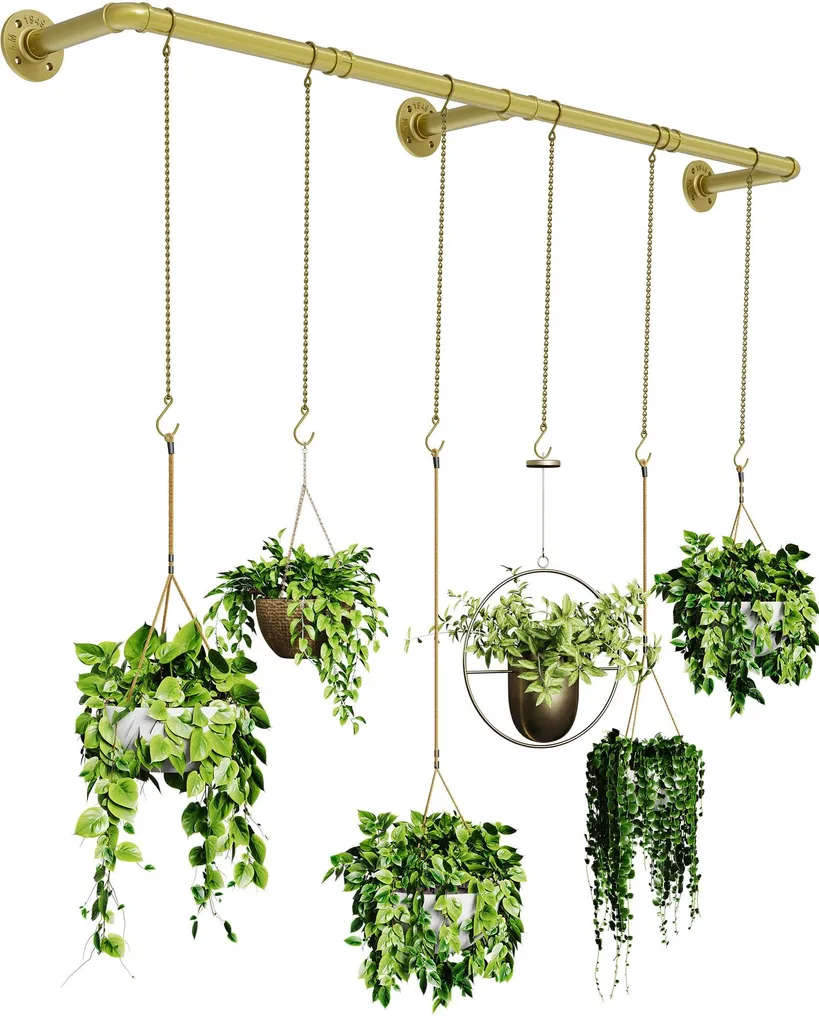 Support plantes 6 chaînes 165 cm en métal doré pour fenêtre et mur
