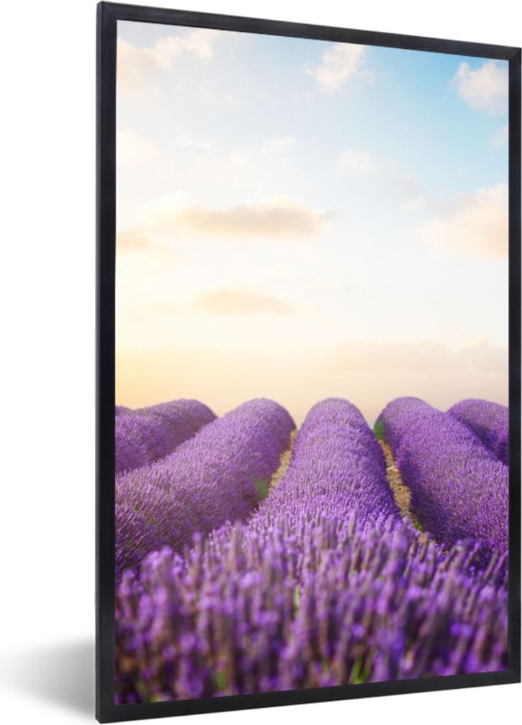 MuchoWow Gerahmtes Poster Lavendel - Himmel - Wolken - Blumen 40x60 cm - Poster mit Schwarzem Bilderrahmen Wandposter Rahmen Foto Bilder - Papier...