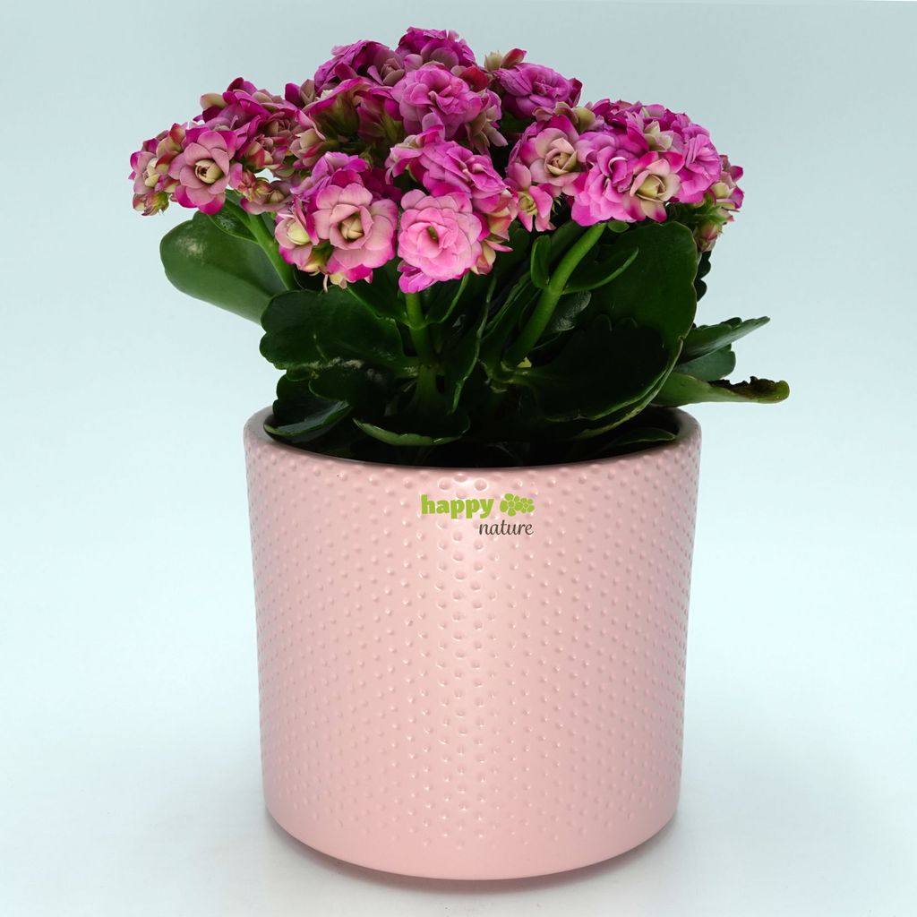 Keramik Blumentopf Toscana silber rosa matt Ø 13.5 cm H 12.5 cm