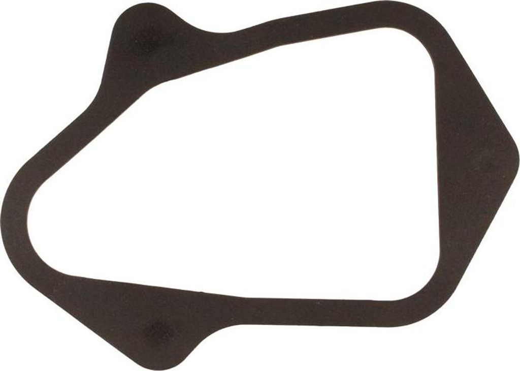 D02/GASKET.ROCKER COVER/Ventildeckeldichtung B&S 450E, Produktbild 