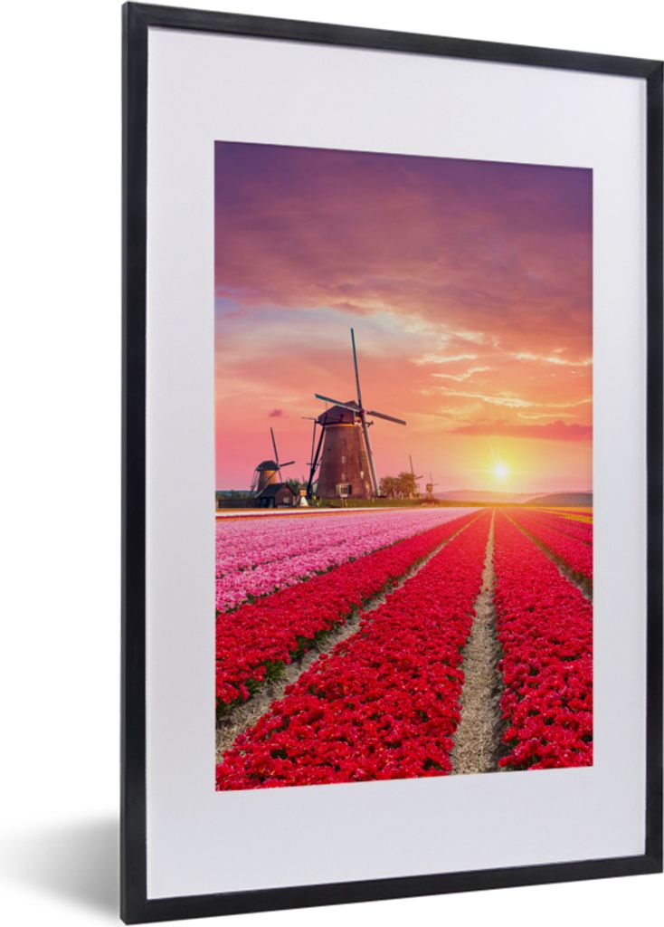 MuchoWow Gerahmtes Poster Blumen - Windmühle - Tulpen - Sonnenuntergang - Rosa 40x60 cm - Poster mit Schwarzem Bilderrahmen Wandposter Rahmen Fo...