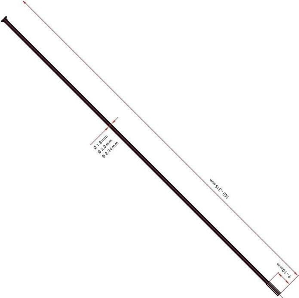 DT Swiss Champion Speiche 2,0mm 284mm Schwarz