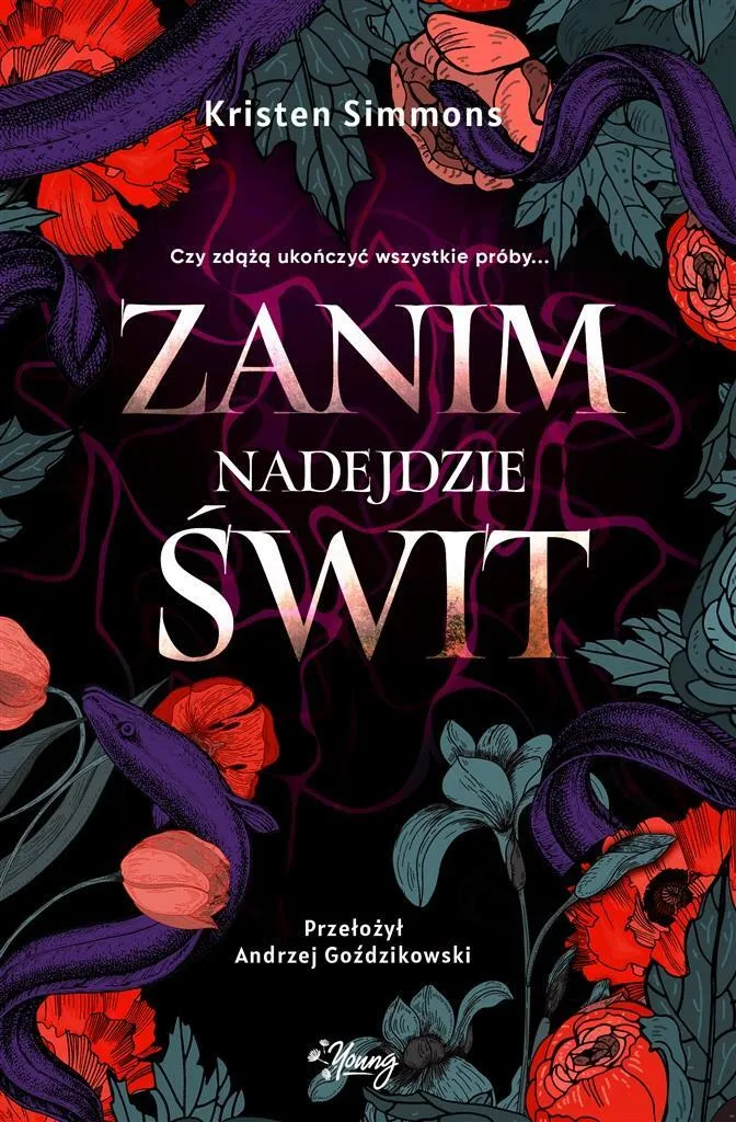 Livre en polonais Zanim nadejdzie świt - Roman Kristen Simmons Neuf