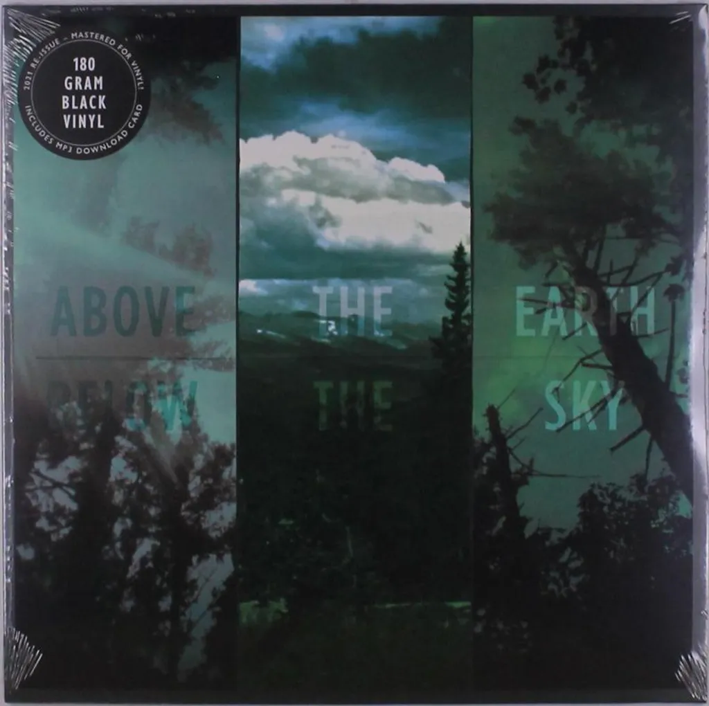Vinyle Post-Rock If These Trees Could Talk pour Platine Audiophile 180g