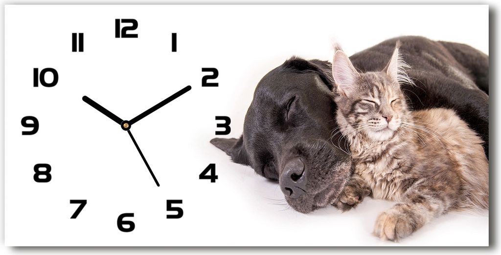 Wanduhr aus Glas – 60x30 cm - Glasbild - Glasuhr - Gehärtetes Glas - schwarze-zeiger - Hund mit einer Katze