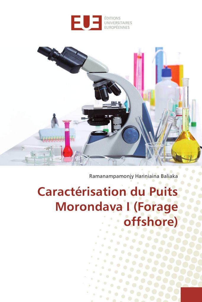 Caractérisation du Puits Morondava I (Forage offshore)