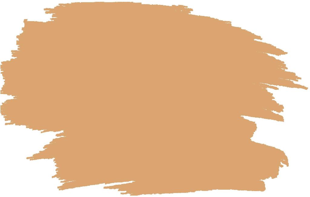 RyFo Colors Seidenlatex Trend Brauntöne Amaretto 10l - bunte Innenfarbe, weitere Braun Farbtöne und Größen erhältlich