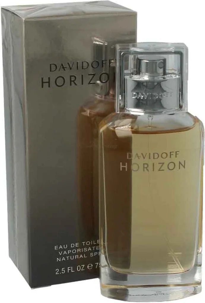 Davidoff Horizon Eau de Toilette aux Notes de Gingembre et Cèdre 125ml
