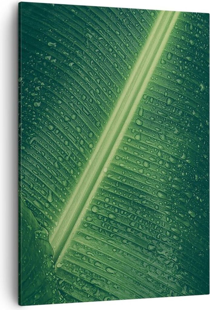 Bild auf Leinwand - Leinwandbild - Einteilig - Makro Blatt Tropfen - 50x70cm - Wand Bild - Wanddeko - Wandbilder - Leinwanddruck - Wanddekoration -...