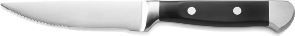 Set 6 Coltelli Bistecca Professionali 25,8cm Acciaio Inox Manico POM