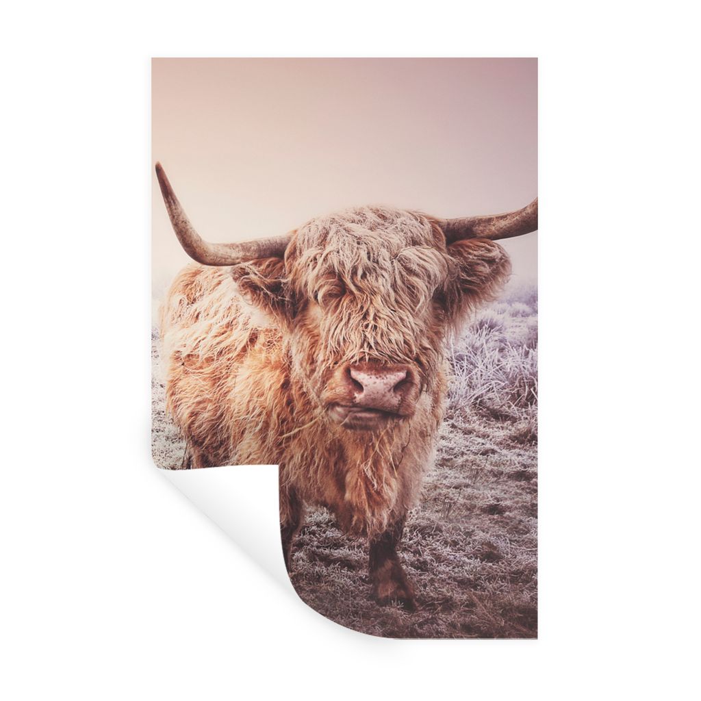 MuchoWow Wandtattoo Wandsticker Wandaufkleber Schottische Highlander - Schnee - Sonne 20x30 cm Selbstklebend und Repositionierbar - Sticker - Dek...