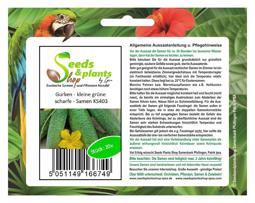 20x Gurken Kleine grüne scharfe - Samen Gemüse Garten Pflanze Salat KS403