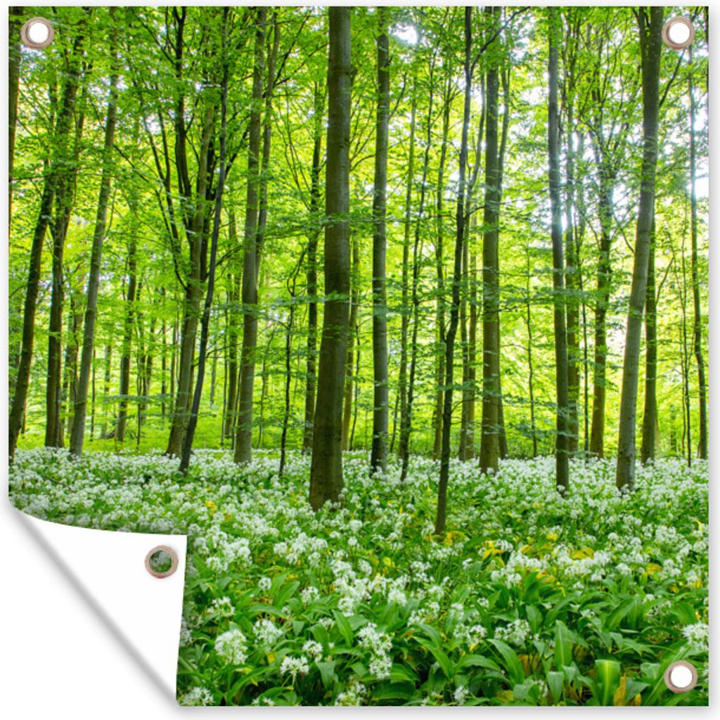MuchoWow 50x50 cm Outdoor-Poster Gartendeko Sichtschutz Garten Poster für den Garten Wald - Bäume - Grün