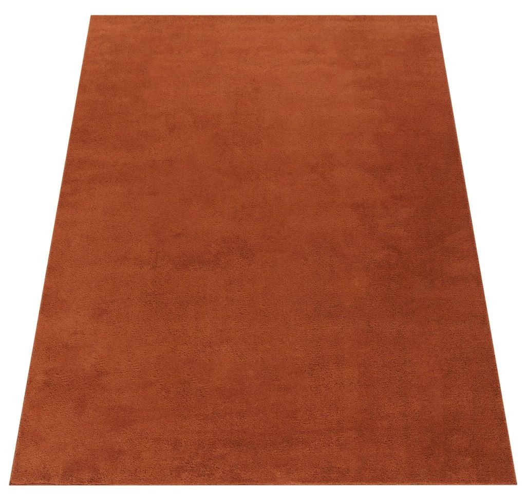 Paco Home Waschbarer Teppich Wohnzimmer Kurzflor Produktbild 