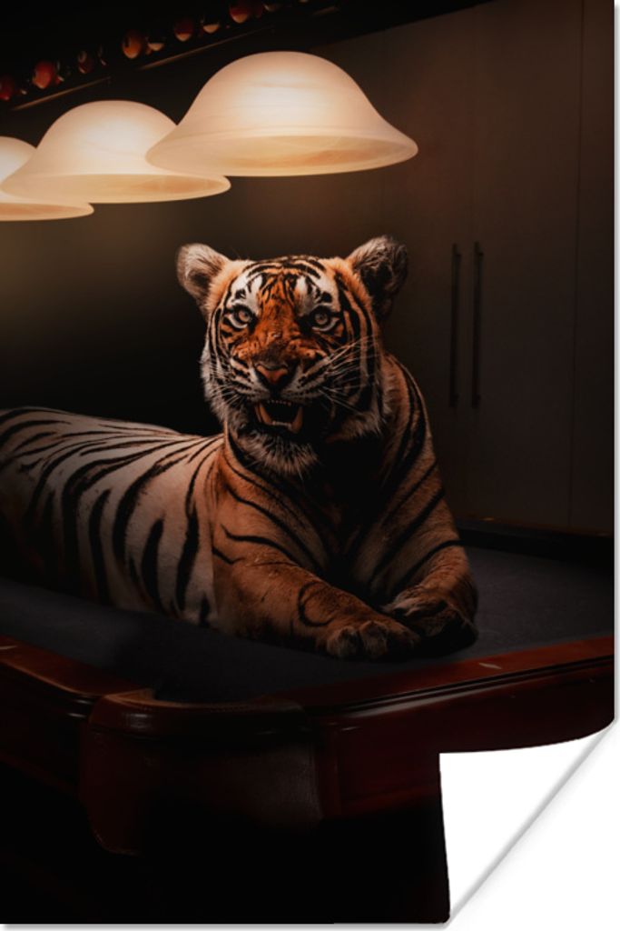 MuchoWow Poster Tiger - Pool - Café 20x30 cm - Papierdruck