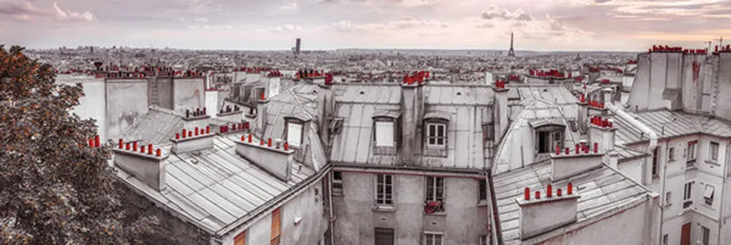 Décoration murale Paris Roof Tops : Poster de porte avec adhésifs tesa
