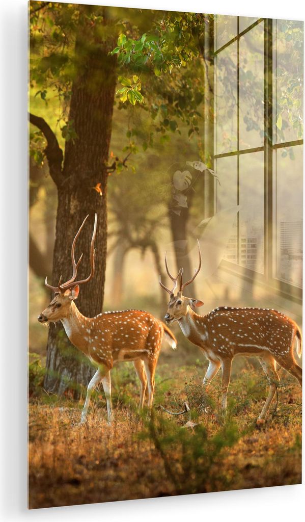 MuchoWow Glasbilder - Bilder auf Wandbild - Foto auf Glas Hirsche - Wald - Herbst - Waldtiere - Natur - Hirsche 80x120 cm Wanddekoration aus Glas -...